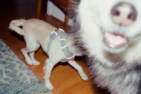 Lydia Ely (@ely.lyd) • Instagram photos and videos