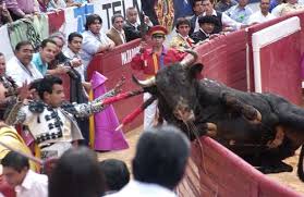 La Jornada: Triunfó, al debutar en la México, la ganadería michoacana de  Caparica