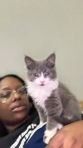 I was trying make a vlog with my mom Libby Griffin Baughman so this is  bloopers when our cat is in our way, wow mom is strong lurker 👀 😆 😆