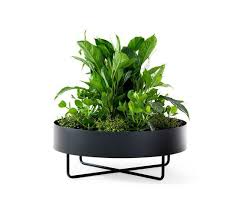 Shima Garden O90 By Johanson Flowerpots Planters Garden Plant Pots Plants Plant Decor Indoor