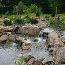 Got A Slope And Wanting A Natural Swimming Pool Put The Planting Areas Uphill Where The Water Flows Through Them Natural Pond Pool Landscaping Swimming Pond
