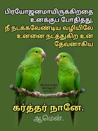 Pin On Bible Verses In Tamil