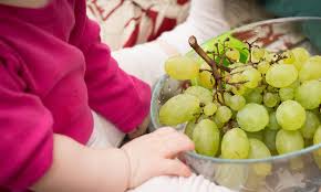 Etwa ab dem fünften monat hält sich das baby meist schon gut aufrecht und schaut den großen aufmerksam beim essen zu. Welches Obst Ist Ab Wann Fur Babybrei Geeignet Infografik