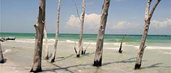 Beer Can Island Greer Island Bradenton Gulf Islands Anna Maria Island Florida Beach Florida Beaches Vacation Anna Maria Island Florida Florida Beaches