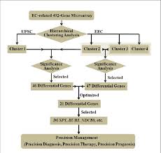 flowchart of gene expression profiling guided ec prognosis