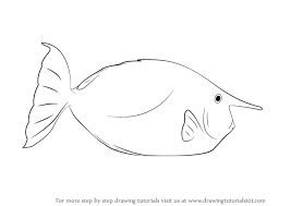 Cute magic unicorn fairy tale illustration set. Learn How To Draw A Whitemargin Unicornfish Fishes Step By Step Drawing Tutorials