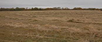 Land for sale in mihiltsi village. Agricultural Land For Sale In Ab Westlock County Ritchie Bros Auctioneers