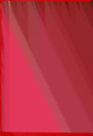 Image result for Pittosporum fulvotomentosum