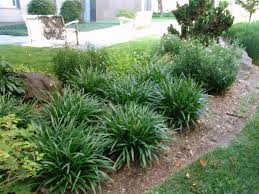 The flowers have been brushed with a fragrant stain to give them a. Pin On Front Yard
