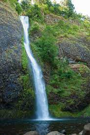 The crimes are being committed in lane county, and poaching victims include a black bear that had been decapitated, and several elk and deer that were left to waste. Multnomah Falls In Oregon Usa Franks Travelbox