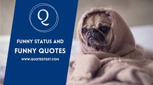 Maybe you would like to learn more about one of these? Best 60 Funny Status And Funny Quotes In English Quotedtext