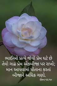 Pin By Rita Rathod On Hindi Gujarati Good Morning Good Night Flowers Rose