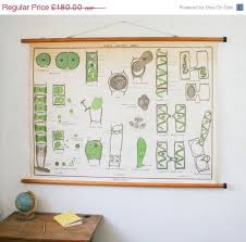 Sale Vintage Chart School Chart Nystrom And Co Green Algae