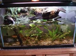 Newt Frog Paludarium Fish Tank Aquaponics Fish Tank Aquaponics
