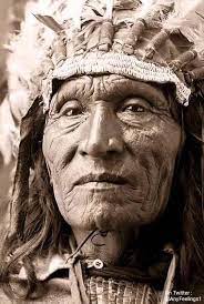 Https Twitter Com Anyfeelings1 Status 1291228768036687878 Photo 1 Native American Nations Native American History Native American Pictures