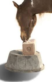 If feeding more than the suggested amount of hay or horse is grazing unlimited pasture, reduce the recommended amount of concentrate feed. Check Your Salt Feeding Know How Horse Rider