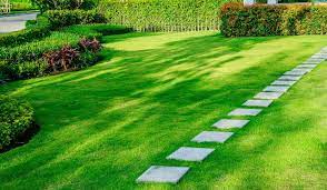 Compare program details, reviews, and pricing! Lawn Care In Midlothian Va Mi Jalisco Landscaping Llc