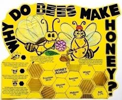 Make A Science Fair Project About Why Bees Make Honey