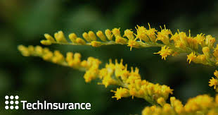 Is errors and omissions insurance required in nebraska. Nebraska Small Business Insurance Quotes Online Techinsurance