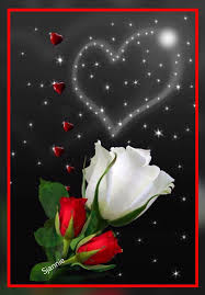 With these flower png images, you can directly use them in your design project without cutout. Best Of Good Night Flowers Good Night Flowers Red Rose Love Beautiful Good Night Images