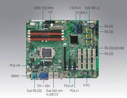 Placa Base