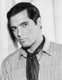 Category:John Gavin