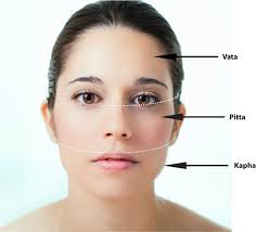 Ayurveda Dosha Face Map Acne Breakout Face Mapping
