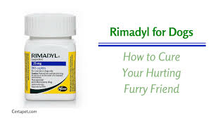 Rimadyl For Dogs How To Cure Your Hurting Furry Friend
