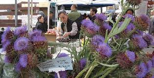 Serious Cheese Creamy Thistle Rennet Cheeses Rennet Cheese Cardoon Easy Party Food