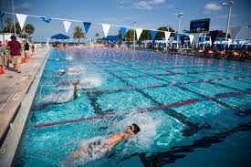 Tampa public swimming pools are typically owned by hillsborough county or local government and they are managed by the parks department in tampa, fl. Splash On Local Swim Scene Extends Beyond Tampa Bay