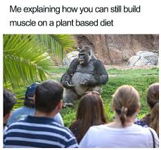 Best Vegan Memes Rawismyreligion