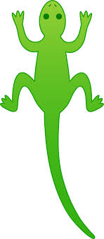 We did not find results for: Cartoon Easy Cute Lizard