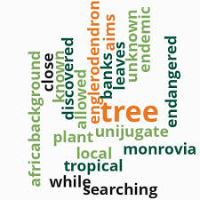 Image result for Englerodendron