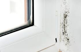 Schimmel Am Fenster Oder Fensterrahmen Einfach Entfernen