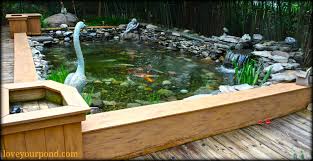 Over time, the japanese farmers began breeding colored mutations as a. Semi Above Ground Koi Pond Installation By Full Service Aquatics Of Summit Nj Ponds Backyard Above Ground Koi Pond Goldfish Pond