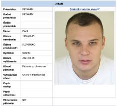 Daweed Hustle, Karlo aj Palermo sa mohli prezradiť cez hudbu