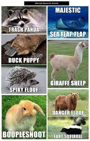 Alternative Animal Names Funny Animal Names Funny Animal Jokes Funny Animal Memes