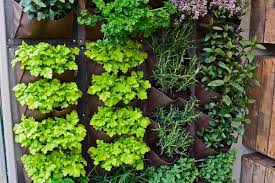 Whether you're concocting a vertical herb garden or a trellis, save space in your garden with a garden that grows up. How To Make An Indoor Vertical Herb Garden Garden Tabs