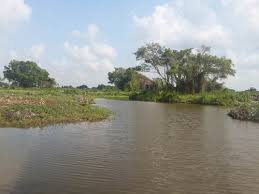 Janda lebih mnggoda cari jodoh nie. Goriau Danau Janda Gatal Mulai Diserbu Pemancing Ternyata Ini Penyebabnya