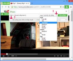 Tổng hợp 5 cách tải video trên web về máy tính đơn giản - Salework