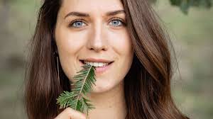 Rezeptideen für Weihnachtsbäume: Lecker, ein Tannenbaum!