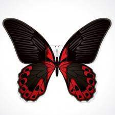 The Red Butterfly Red Butterfly Butterfly Art Print Black Butterfly Tattoo