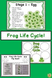 Frog Life Cycle Unit Lots Of Fun Activities For 1 3