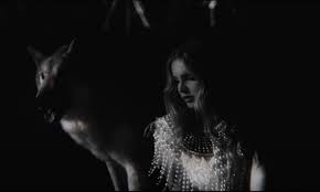6 x 7 x 1.25. Lana Del Rey Shares Teaser For Chemtrails Over The Country Club Video