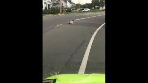 Police Charge Father With Neglect After Photo Shows Baby Crawling Across New Jersey Street Kvue Com