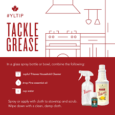 What are the best natural shower cleaners? How To Make 25 Diy Cleaners With One Bottle Of Thieves Household Cleaner Young Living Canada Blog