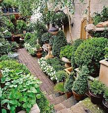 Photo Gallery Small Courtyard Gardens Small Gardens Garden Design