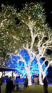 Lights At The Pedernales Electric Coop Campus Texas Hill Country Christmas Lighting Hill Country