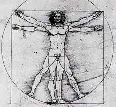 A Great Description About Joint By Joint Approach To Athletics Weight Training And Functional Movement Gra Evaluation System Biomechanics Mobility Exercises