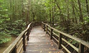 Check spelling or type a new query. Kota Kinabalu Wetland Centre Mapio Net